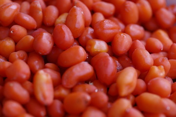 bacche di Goji