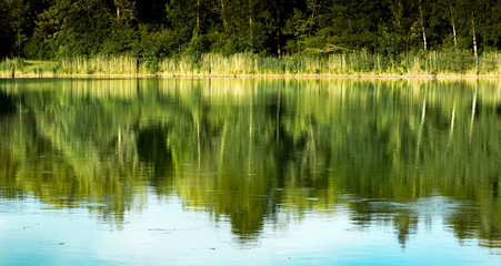 Spiegelung  Wald im See
