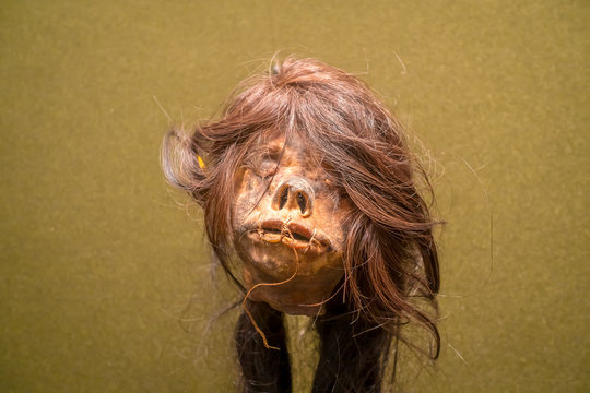 A shrunked human head from ecuador over a brown background