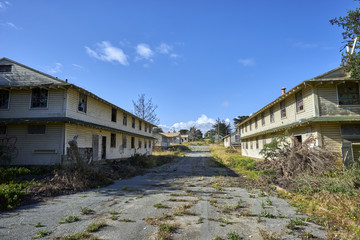 Fototapeta na wymiar overgrown and cracked asphalt street between two deserted, condemned barracks