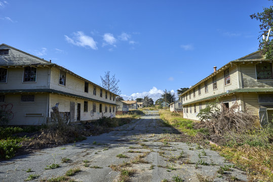 overgrown and cracked asphalt street between two deserted, condemned barracks