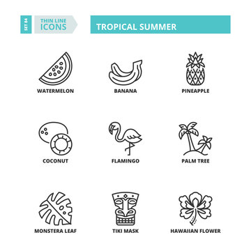 Thin line icons. Tropical summer