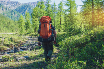 Healthy Active man with backpack hiking in beautiful mountain forest in the summer in the sun