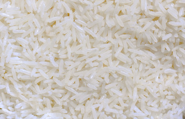 cooked white Jasmine rice