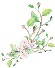 Spring blossom flowers watercolor clip art, floral arrangement, hand painted flowers, wedding, invitation, design