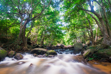 Fototapeta premium Waterfalls flowing through streams in deep forests.