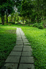Pathway in park