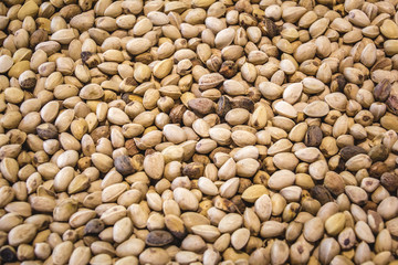 Pistachio background / texture. Nuts. 