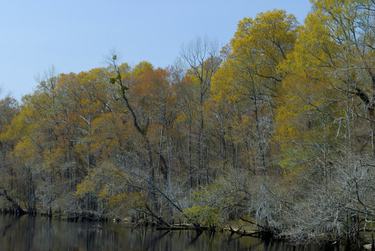 Lumber River, Fair Bluff, North Carolina