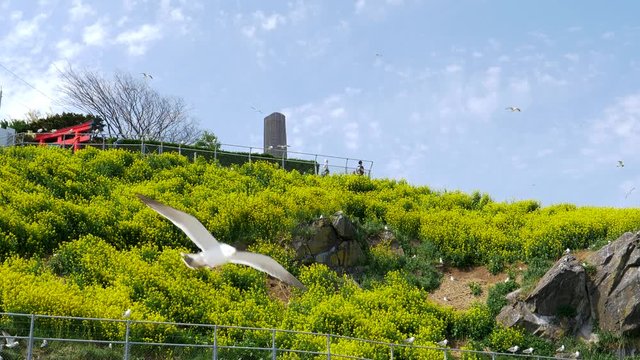 八戸の海