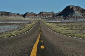 Fototapeta premium Road through Petrified Forest