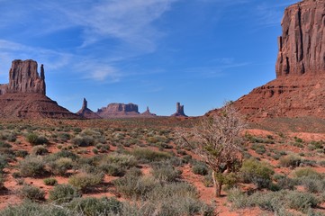 Monument Valley vegetation