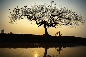 Fototapeta na wymiar Beautiful landscape with trees silhouette at sunset with Vietnamese woman wearing traditional dress Ao Dai standing under the tree