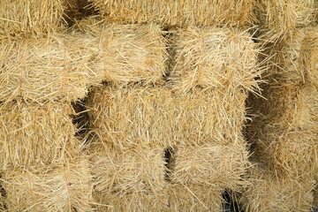 bale of hay stacking inside shed of farm