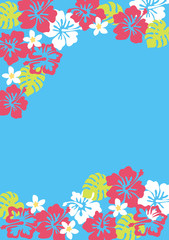 Obraz premium 海 夏 可愛い ハイビスカス