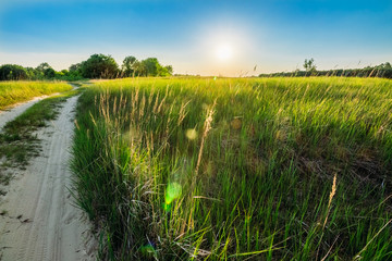 Obraz premium Landscape with a rural sandy road and green grass