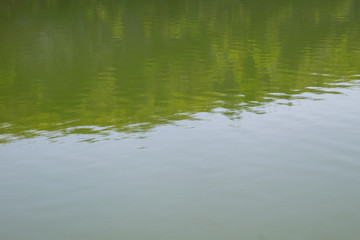 Water texture background