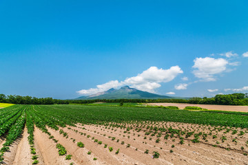 北海道 駒ヶ岳