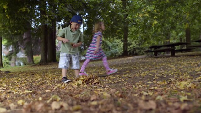 Little Kids Play In Park, Boy Gathers Leaves For Leaf Pile 