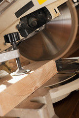Circular saw. Carpentry.