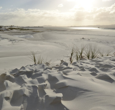 Parengarenga sand dunes