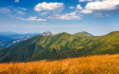 Mountain ridges in the Vratna valley in the national park Mala Fatra, Slovakia, Europe.