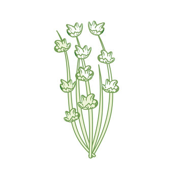 green floral stems on white background clip art preview