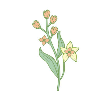 floral stem pastel colors on white clip art preview