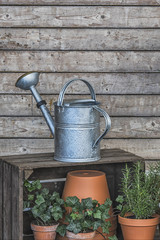 Obraz premium Watering can and garden plants with the wooden background