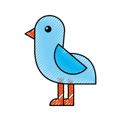 cute bird sea icon vector illustration design