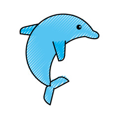 cute dolphin isolated icon vector illustration design
