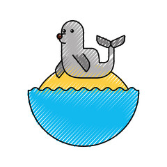 cute seal isolated icon vector illustration design