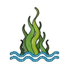 marine seaweed sealife icon vector illustration design