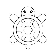 cute turtle isolated icon vector illustration design