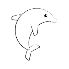 cute dolphin isolated icon vector illustration design