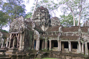 Fototapeta premium Ta Prohm Temple, Angkor, Cambodia