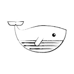 cute whale isolated icon vector illustration design