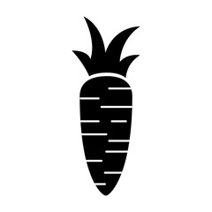fresh carrot isolated icon vector illustration design