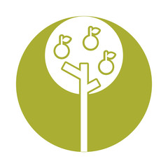 apple tree isolated icon vector illustration design