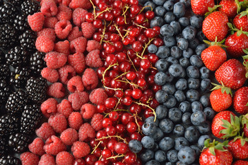 Different forest berries