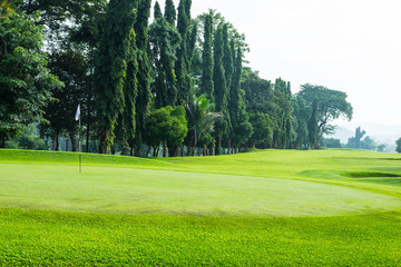 Obraz premium Gree lawn on small hill wiht tree in background