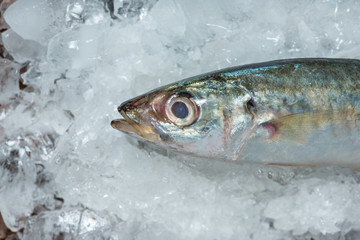 Fresh raw fish on ice on a wooden table.