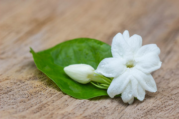 Fototapeta na wymiar Jasmine flowers on wooden background ,soft focus