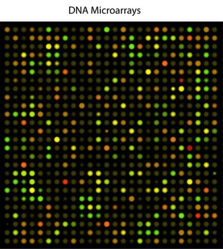 DNA microarrays, used, for example, in cancer research.