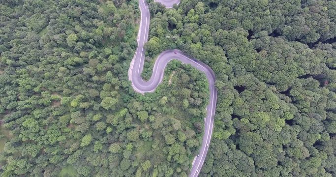 Winding road trough the forest footage