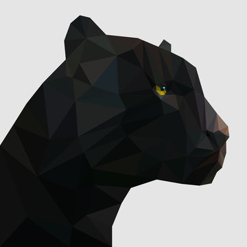 Panther in low poly