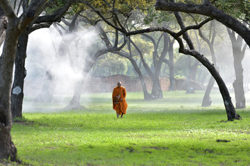 The monk walks in the park, the monk meditates under the Buddha's tree at Wat Ayutthaya, the Buddhist monk temple in Thailand. - obrazy, fototapety, plakaty