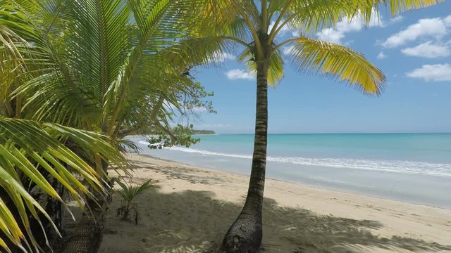 amazing tropical beach playa bonita in the dominican republic