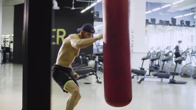 Boxer training punching bag