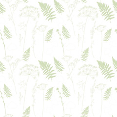 Vector floral seamless pattern with fern leaves, dill, chicory flowers and shepherd's purse plant .